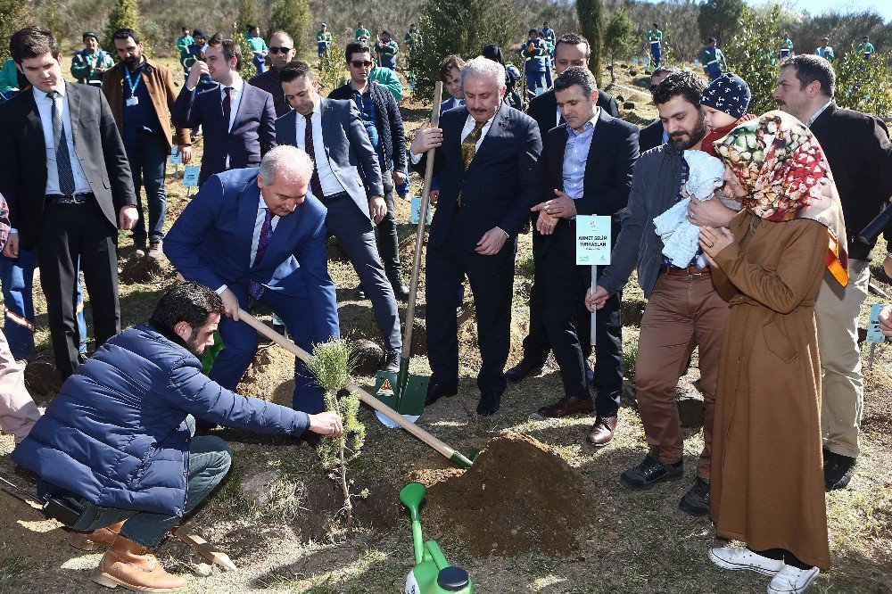 Başakşehir’de Her Yeni Doğana Bir Fidan