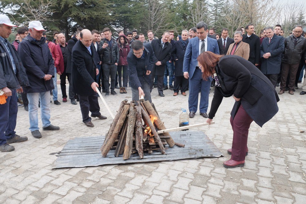 Nevruz Ateşi Yakıldı, Örste Demir Dövüldü Ve Fidanlar Toprakla Buluşturuldu