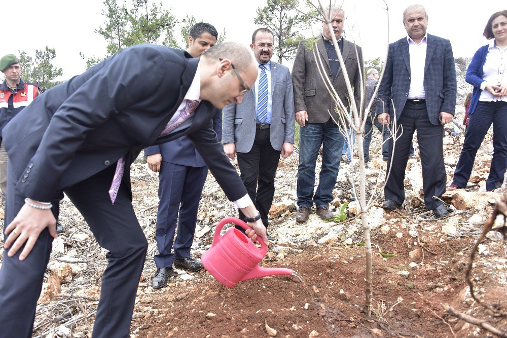 İlk Fidanı Hüküm Verdikleri Mahkumlar Dikti