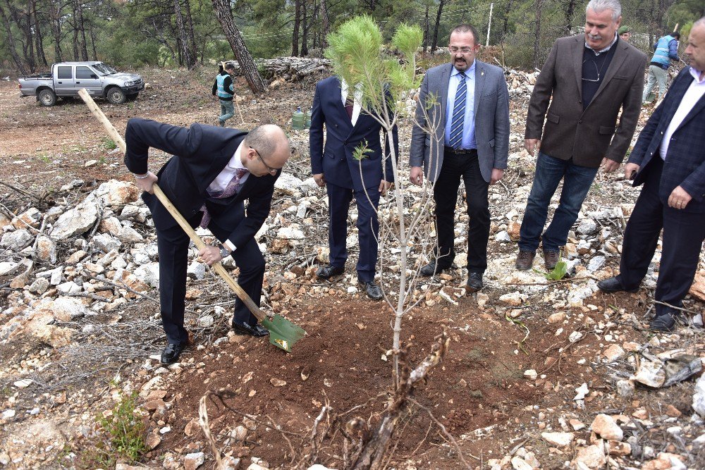 İlk Fidanı Hüküm Verdikleri Mahkumlar Dikti