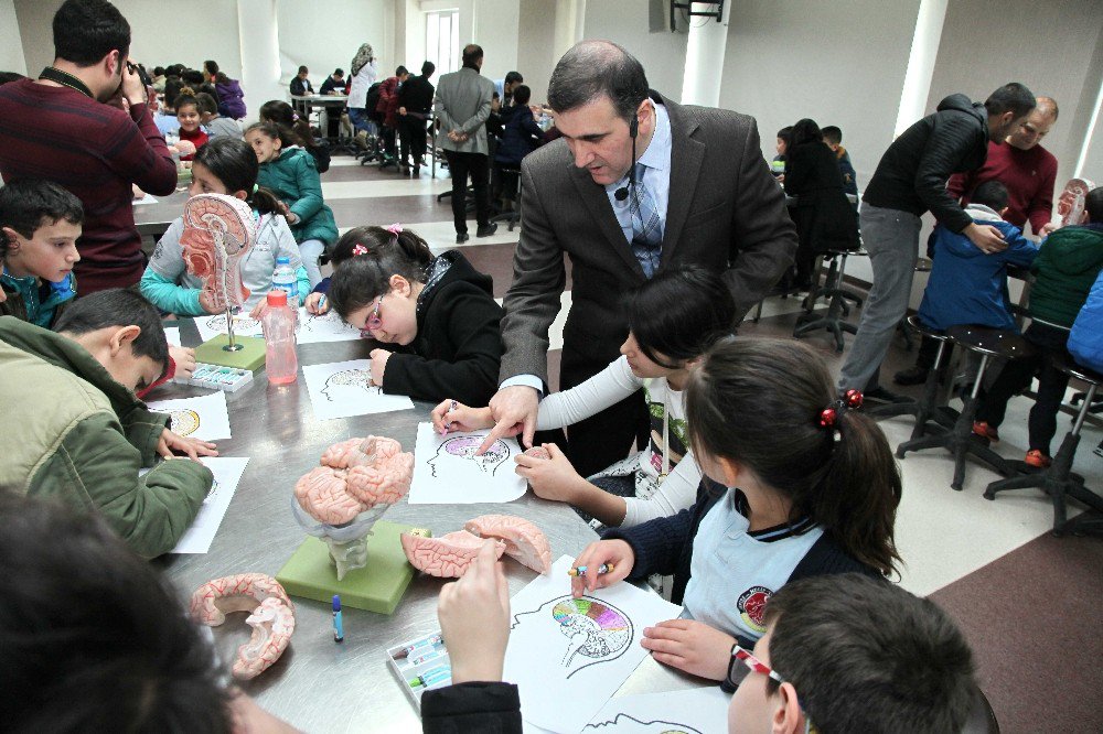 Gaziantep’te Dünya Beyin Farkındalığı Haftası Etkinliklerle Kutlandı