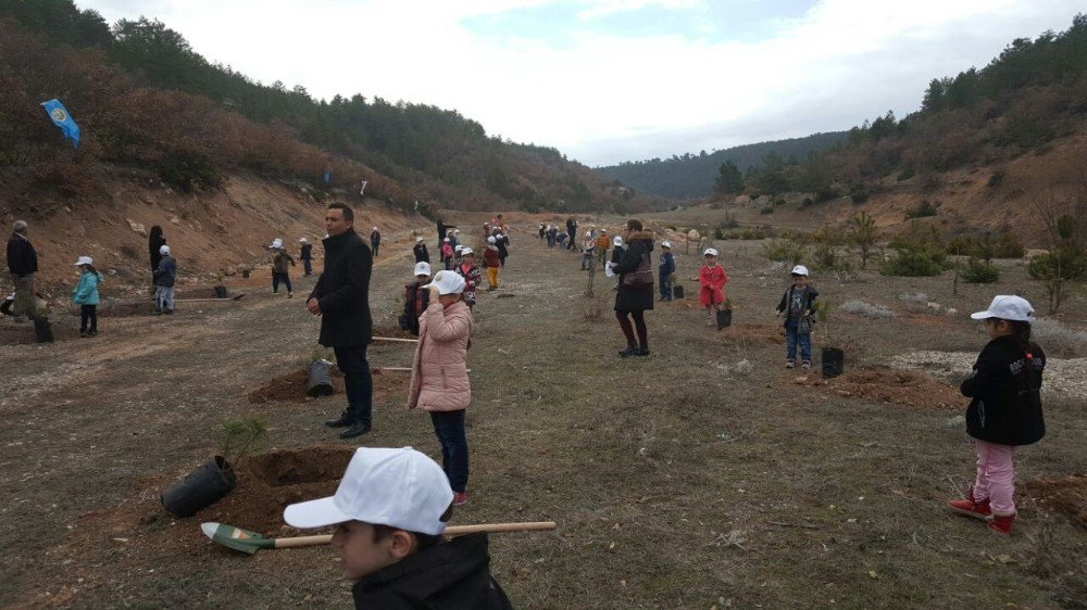 Emet , Hisarcık Ve Çavdarhisar’da 12 Bin 817 Fidan Toprakla Buluştu