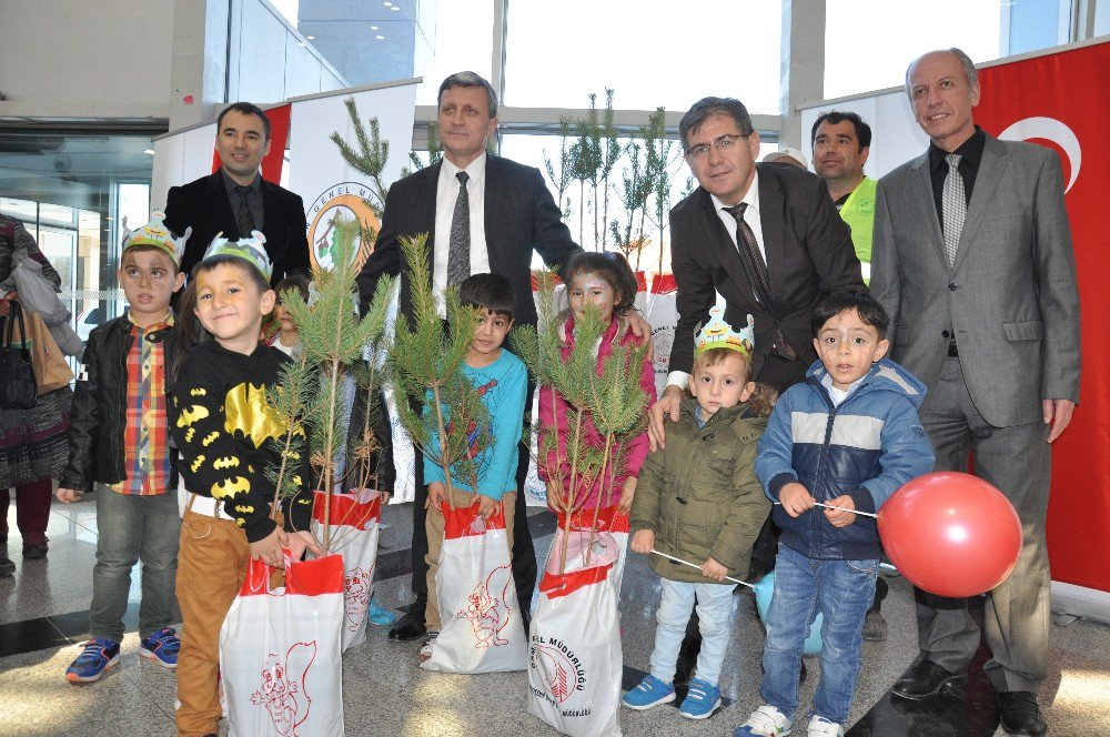 Orman Bölge Müdürlüğünden İlave Fidan Dağıtımı