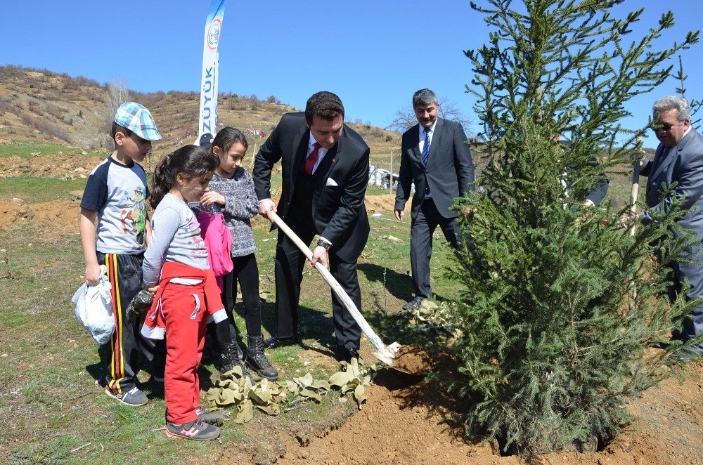 Bozüyük’te Orman Haftası’nda 600 Fidan Toprakla Buluştu