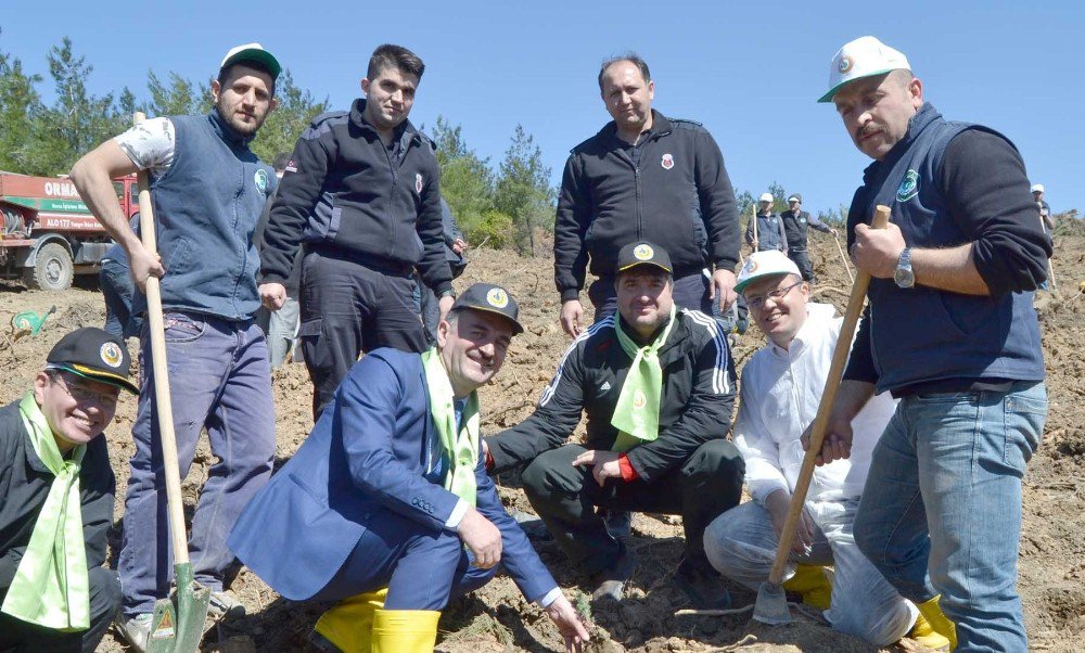 Gemlik’teki Yangının Yaraları Sarılıyor