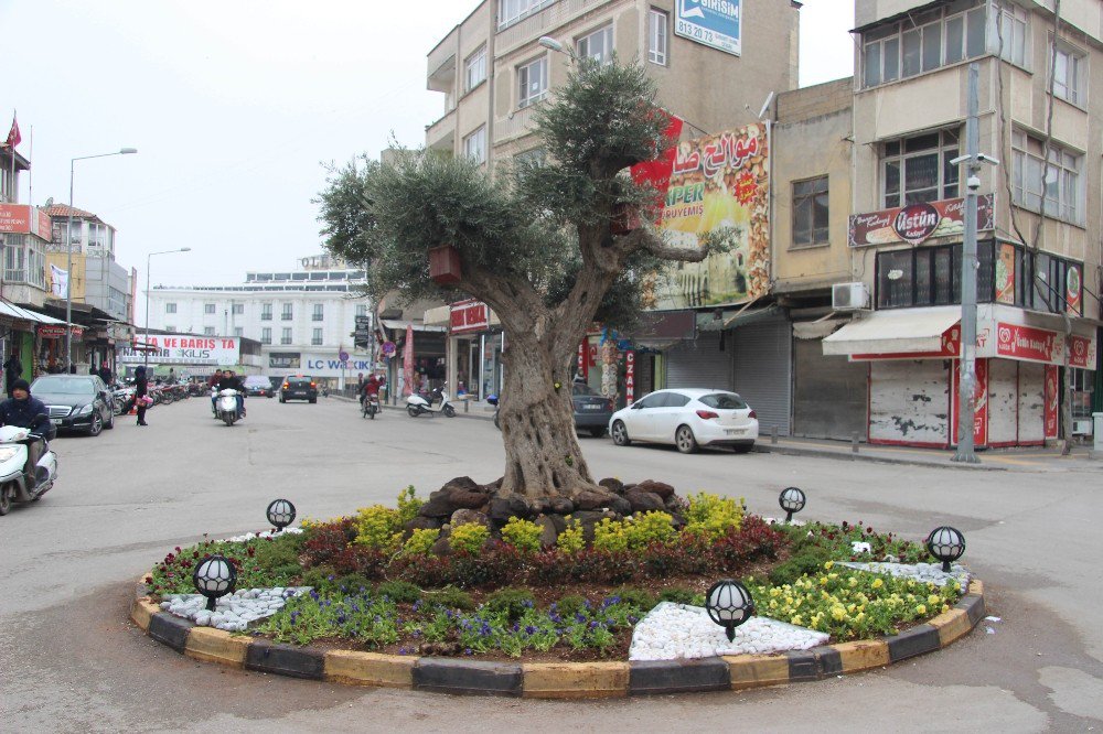 Kilis’te Kavşak Park Ve Refüjlere Çiçek Ekimi Sürüyor