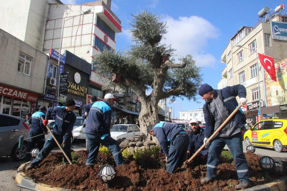 Kilis’te Kavşak Park Ve Refüjlere Çiçek Ekimi Sürüyor