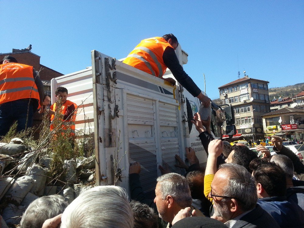 Devrek Orman İşletme Müdürlüğünden Ücretsiz Fidan Dağıtımı