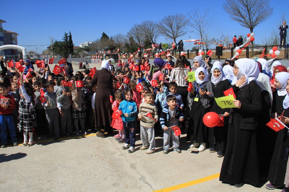 Mülteci Çocuklar Barışın Sembolü Zeytin Fidanlarını Toprakla Buluşturdu