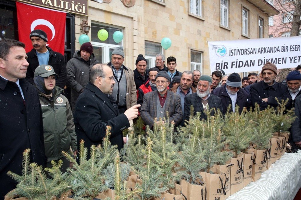 Orman Haftası’nda Vatandaşlara Ücretsiz Fidan Dağıtıldı