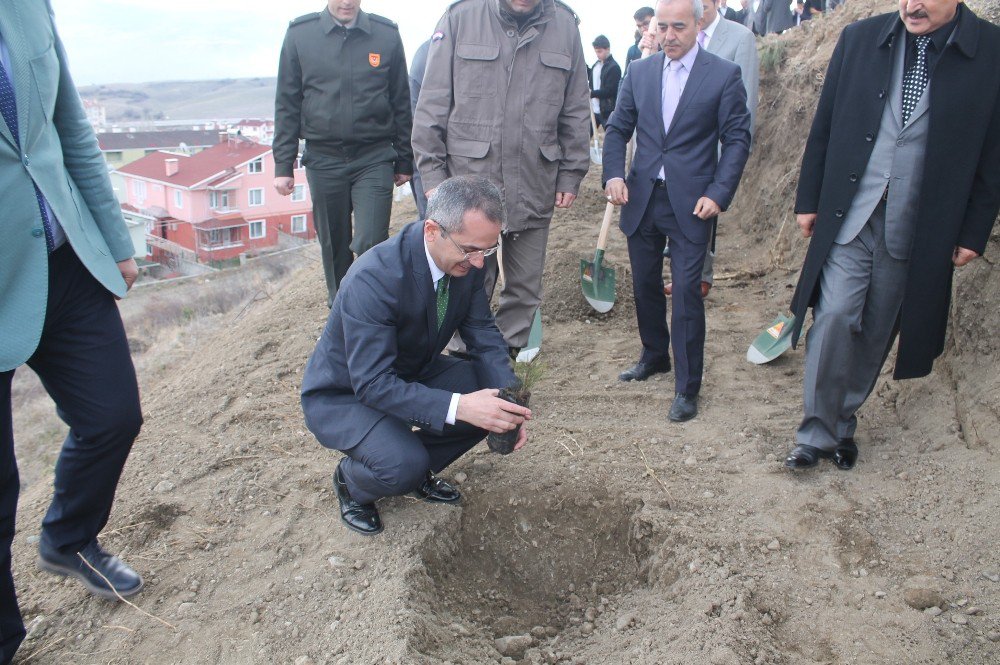 Tosya’da Ormancılık Haftası Fidan Dikilerek Kutlandı