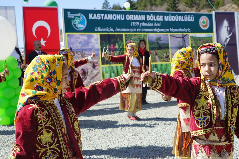 Orman Haftası Ve Ağaç Bayramı, Kastamonu’da Kutlandı