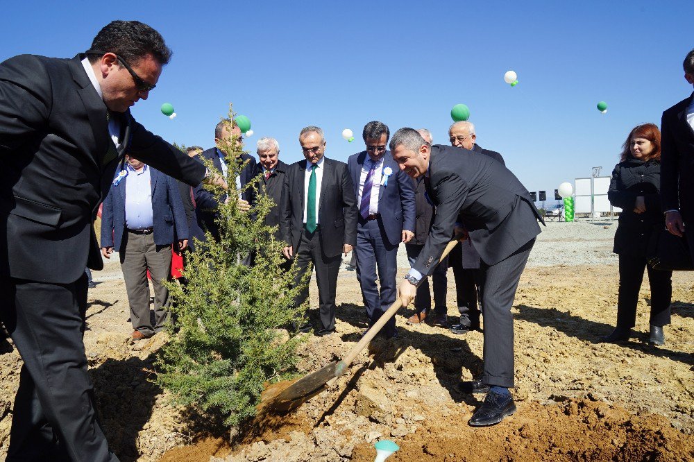 Orman Haftası Ve Ağaç Bayramı, Kastamonu’da Kutlandı