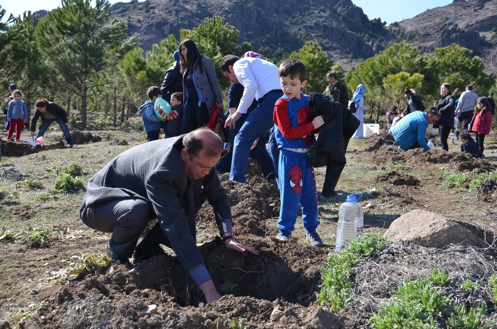 Osmancık’ta Ana Okulu Öğrencileri Fidan Dikti