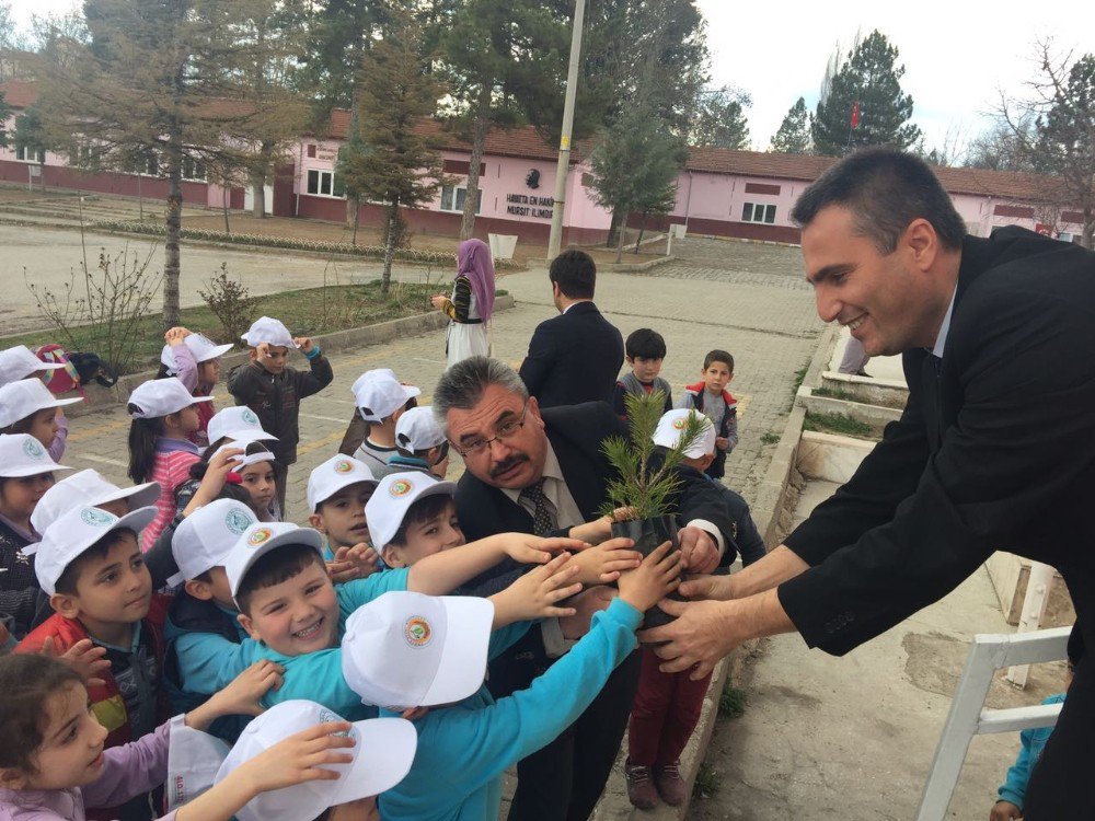 Atatürk İlkokulunda Orman Haftası Kutlama Etkinliği