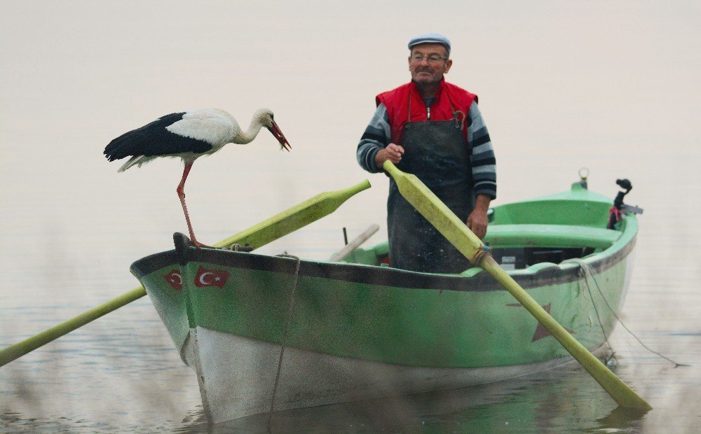 Leylek İle Bursalı Balıkçının Hikayesi Film Oluyor