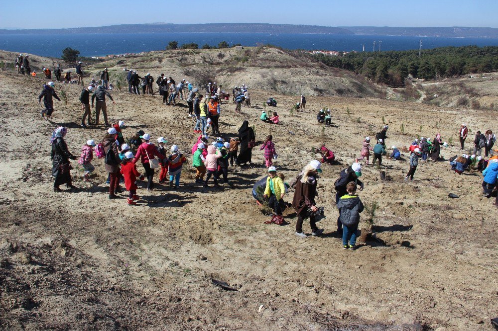 Çanakkale’de “15 Temmuz Demokrasi Şehitleri Hatıra Ormanı” Oluşturuldu