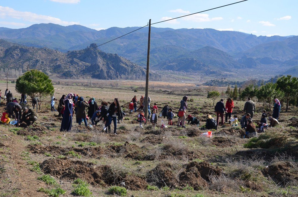 Osmancık’ta Ana Okulu Öğrencileri Fidan Dikti