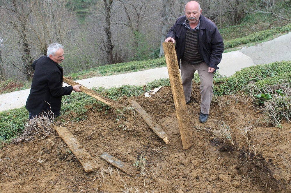 Mezarlıkta Ayı Nöbeti