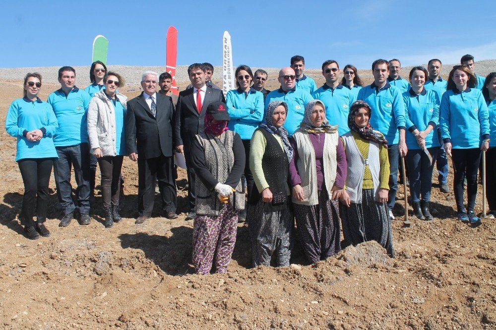 Medaş Personelinden Ağaçlandırmaya Destek