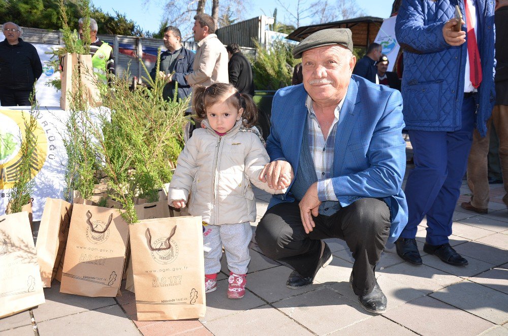 Orman Haftası’nda Çam Fidanı Dağıtıldı