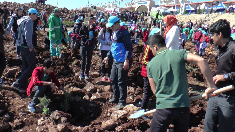 Şahinbey’den 440 Bin Metrakarelik Alana "Çanakkale Hatıra Ormanı"