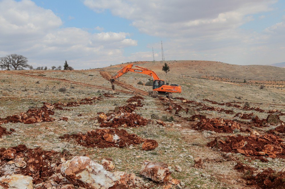 Şehitkamil’de Bi Dünya Yeşil Orman Kuruluyor