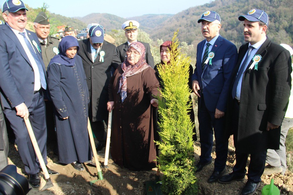 Dikilen 4 Bin Fidanla Şehitlere 4 Bin Fatiha Okunacak