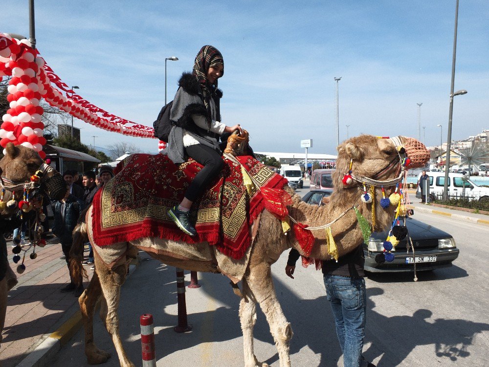 61 İlin Lezzetleri Bandırma’da