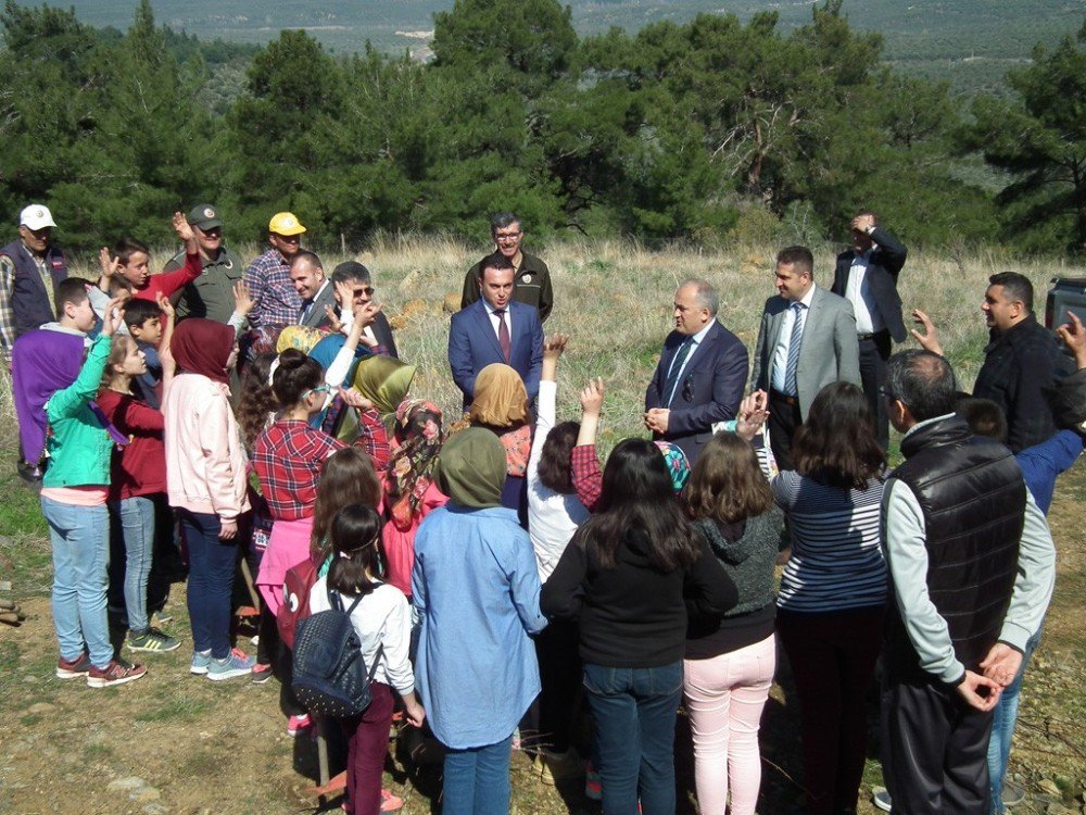 Havran’da Öğrenciler Baden Ağacı Dikti