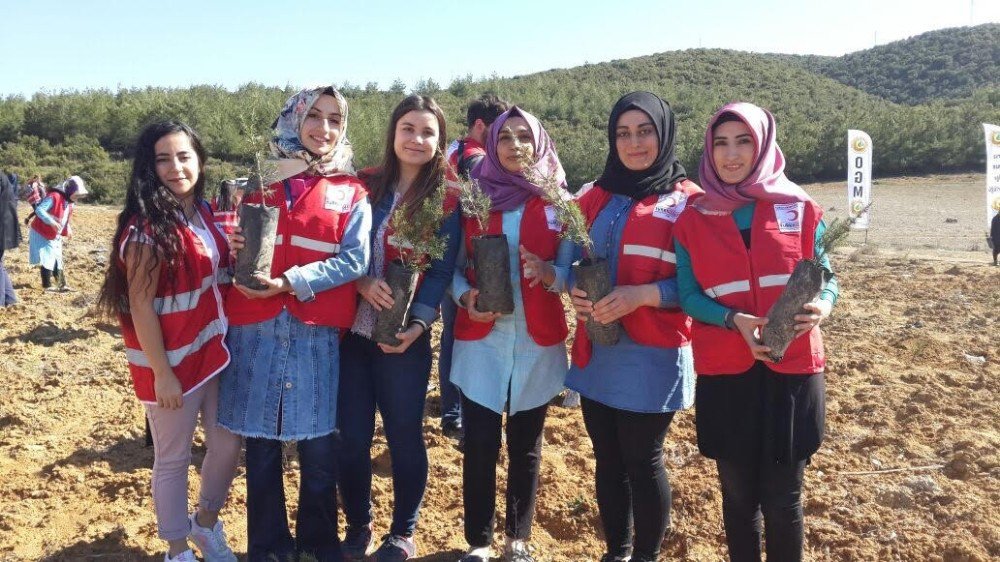 Öğrenciler 300 Fidanı Toprakla Buluşturdu