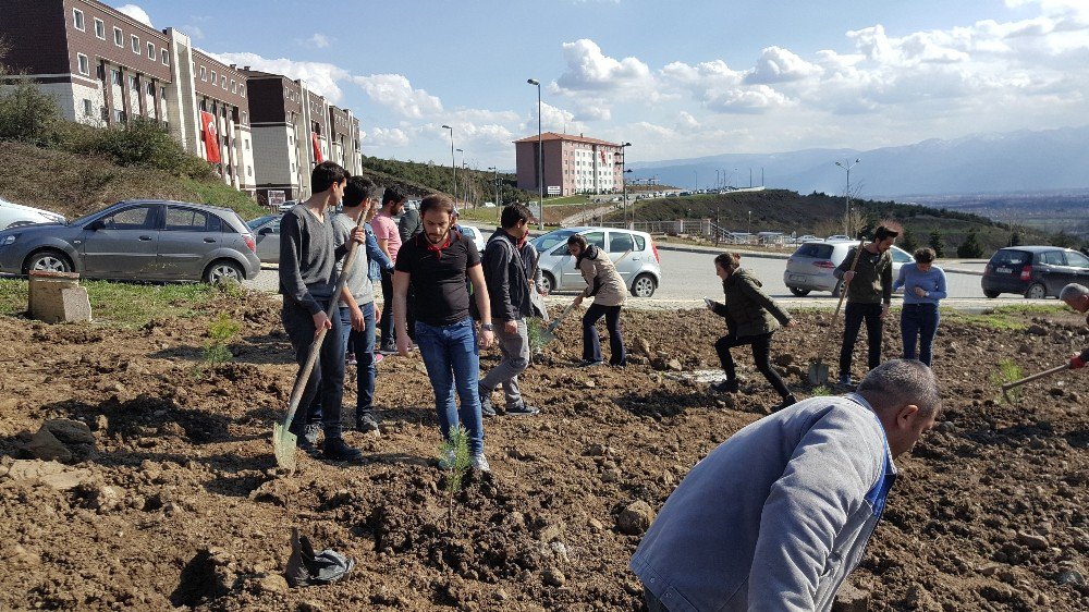 Öğrencilerden Çevre Duyarlılığına Yönelik Örnek Çalışma