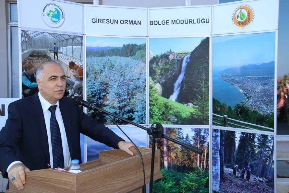 Giresun’da Orman Haftası Etkinlikleri