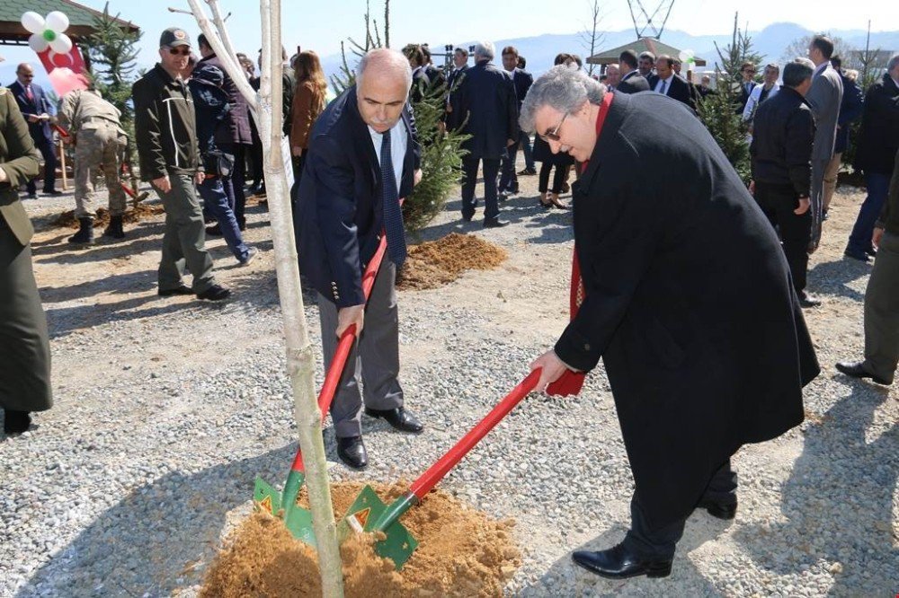 Giresun’da Orman Haftası Etkinlikleri