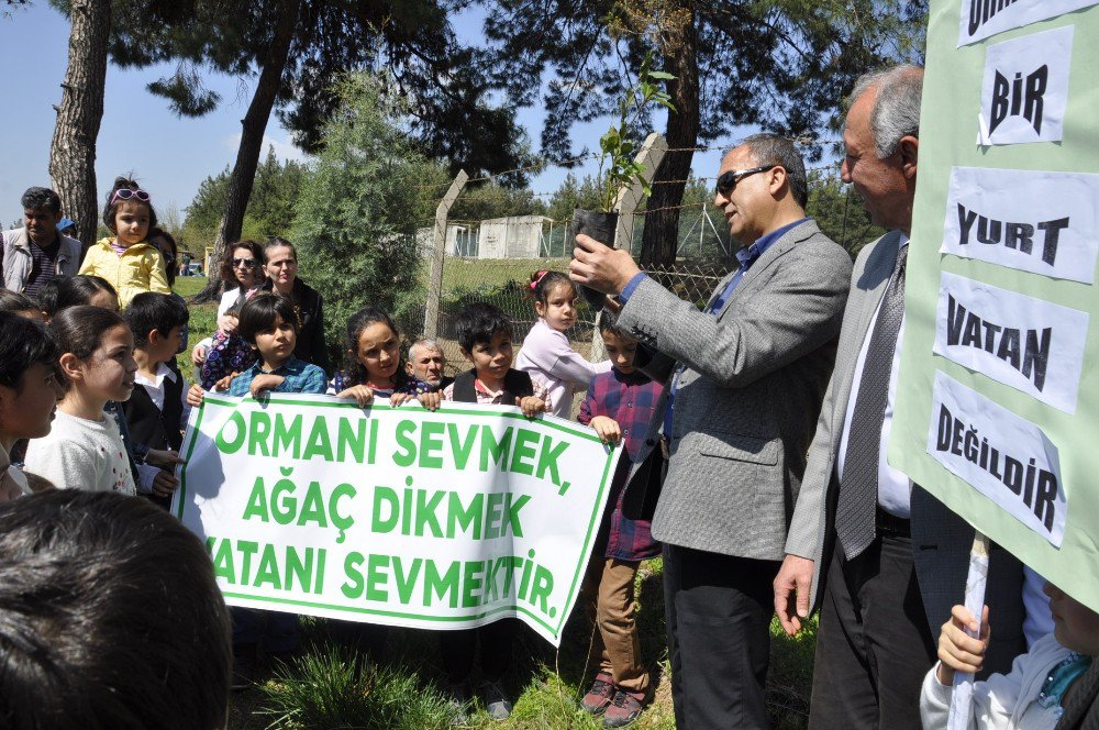 Öğrenciler Ağaç Müzesi’ne Fidan Dikti