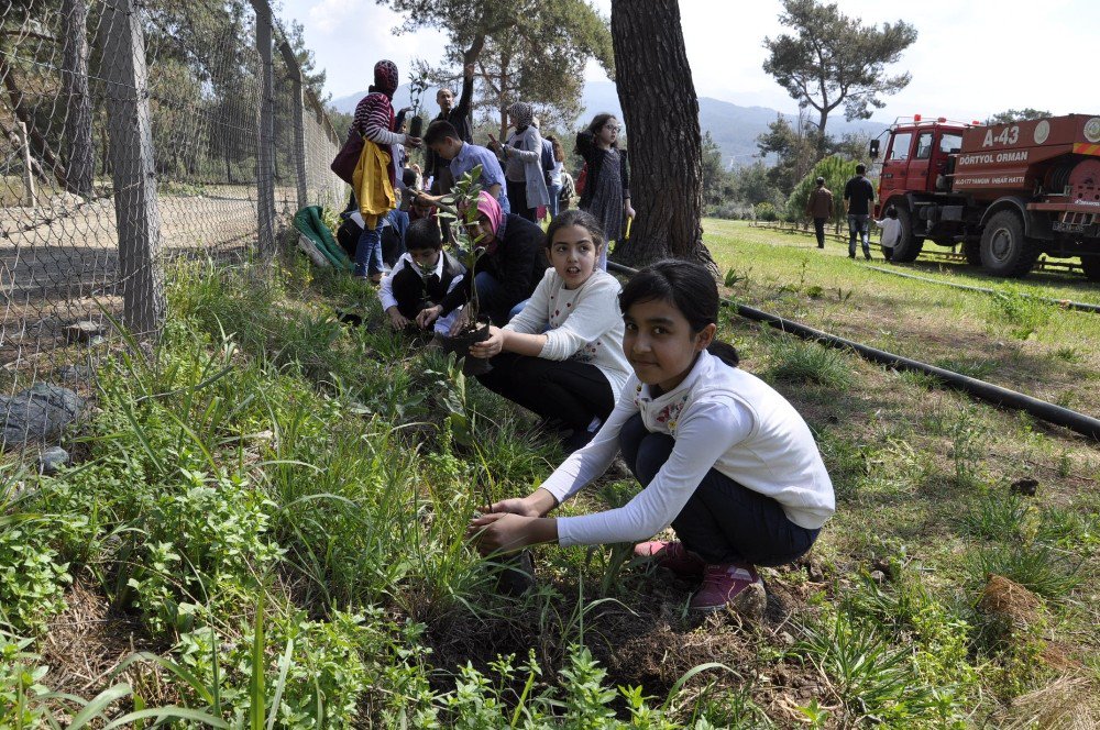 Öğrenciler Ağaç Müzesi’ne Fidan Dikti