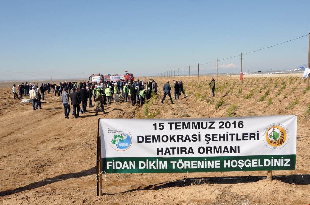 Şehitlerin İsimleri 15 Temmuz Hatıra Ormanında Yaşatılacak