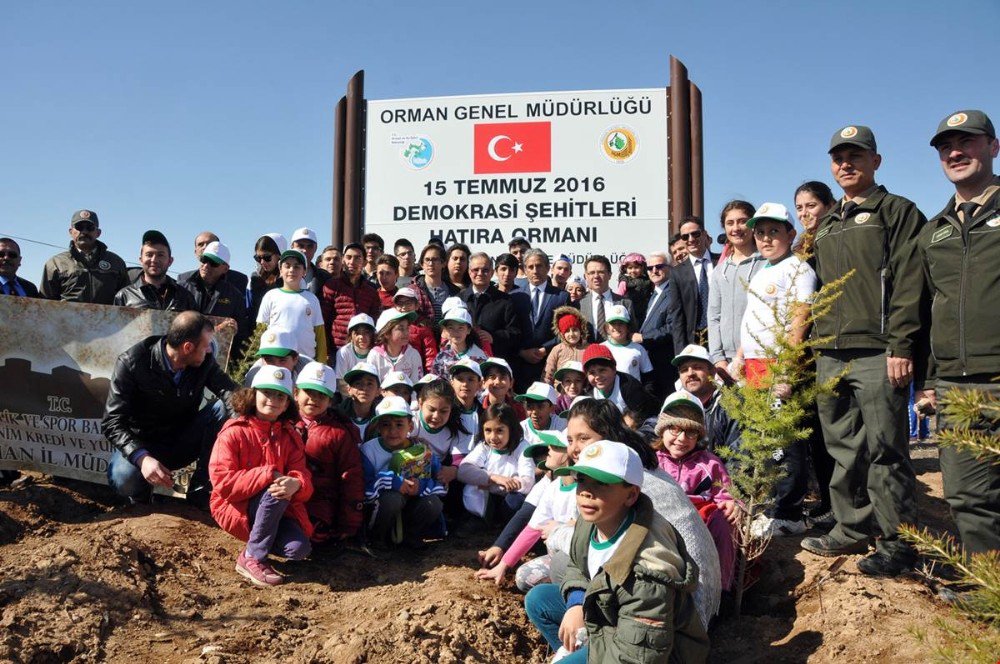 Şehitlerin İsimleri 15 Temmuz Hatıra Ormanında Yaşatılacak