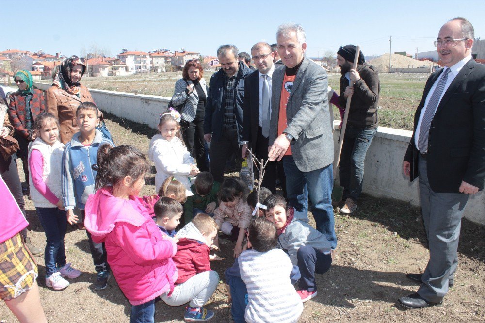 Öğrenciler Fidan Dikti