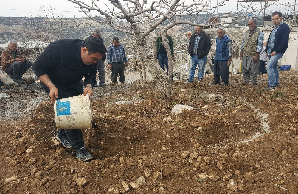 Büyükşehir Belediyesi’nden Antep Fıstığı Üreticilerine Eğitim