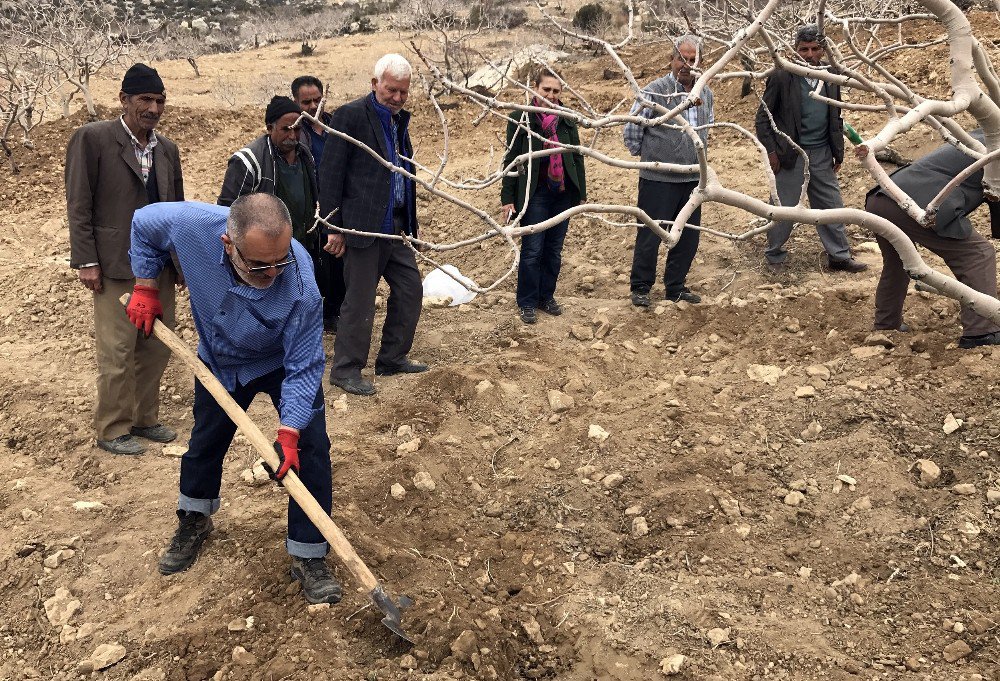 Büyükşehir Belediyesi’nden Antep Fıstığı Üreticilerine Eğitim