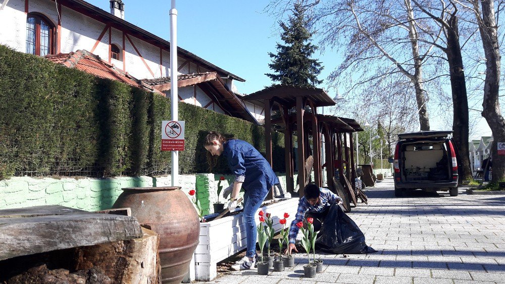 Sapanca Sanat Sokağına Öğrenciler Lale Dikti