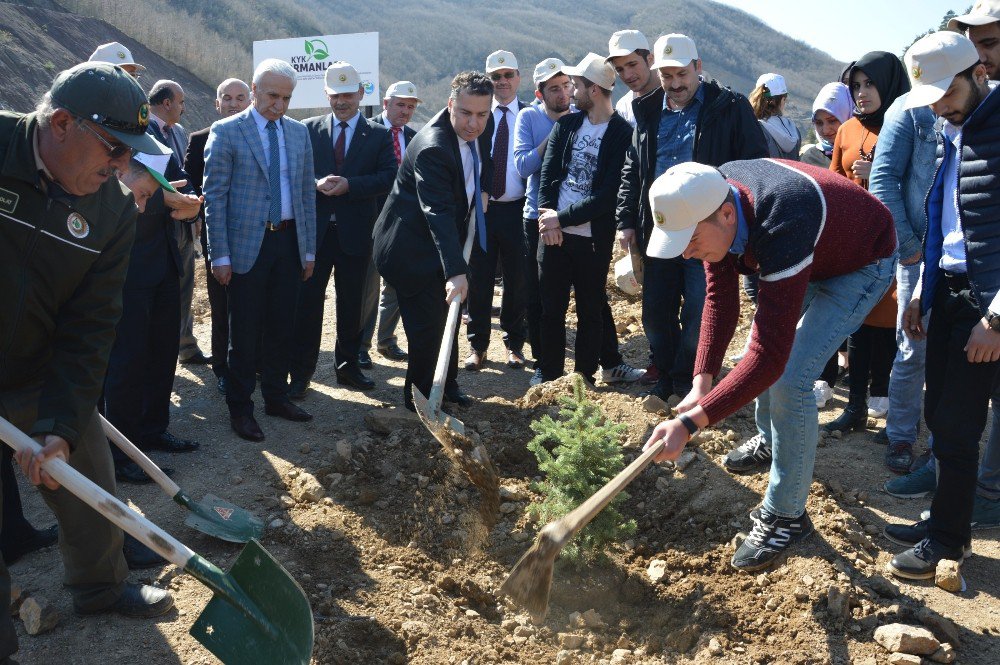 Niksar’da Öğrenciler Fidan Dikti