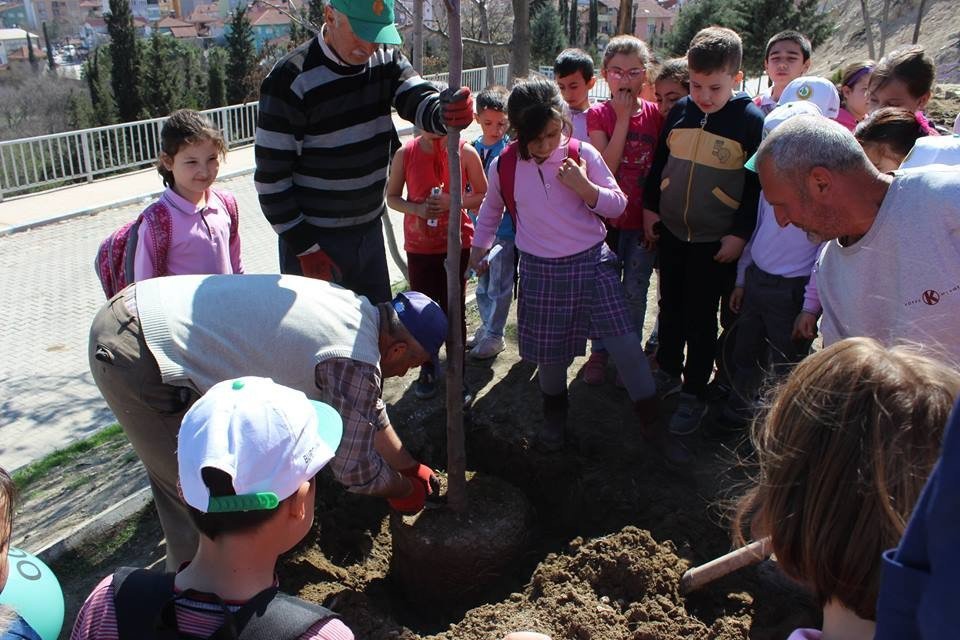 Orman Haftası Vezirhan’da Ağaç Dikilerek Kutlandı