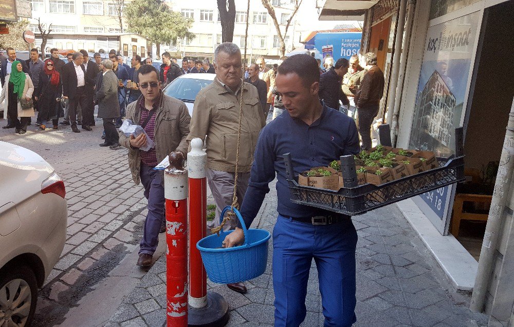 Zeytinburnu Sokaklarını Fesleğen Kokusu Sardı