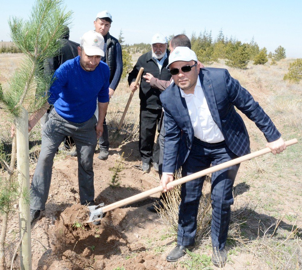 Aksaray’da 15 Temmuz Şehitleri Anısına 249 Fidan Toprakla Buluşturuldu