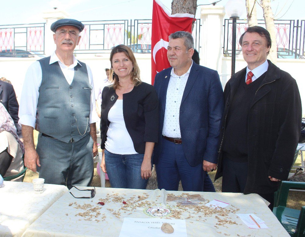 Aydın’da "Yerel Tohum Takas Şenliği"