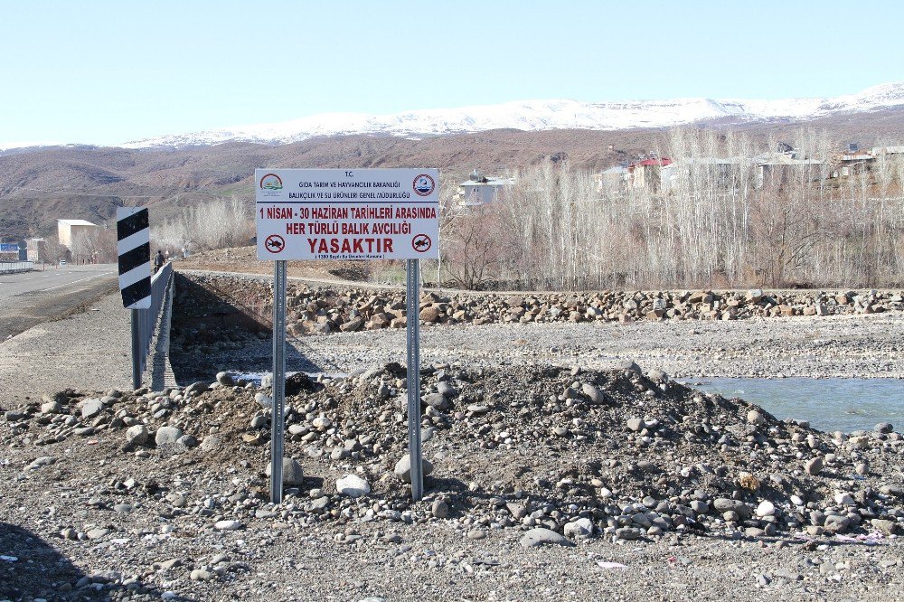 Bingöl’de Avlanma Yasağına Dikkat Çekmek İçin Tabelalar Yerleştirildi