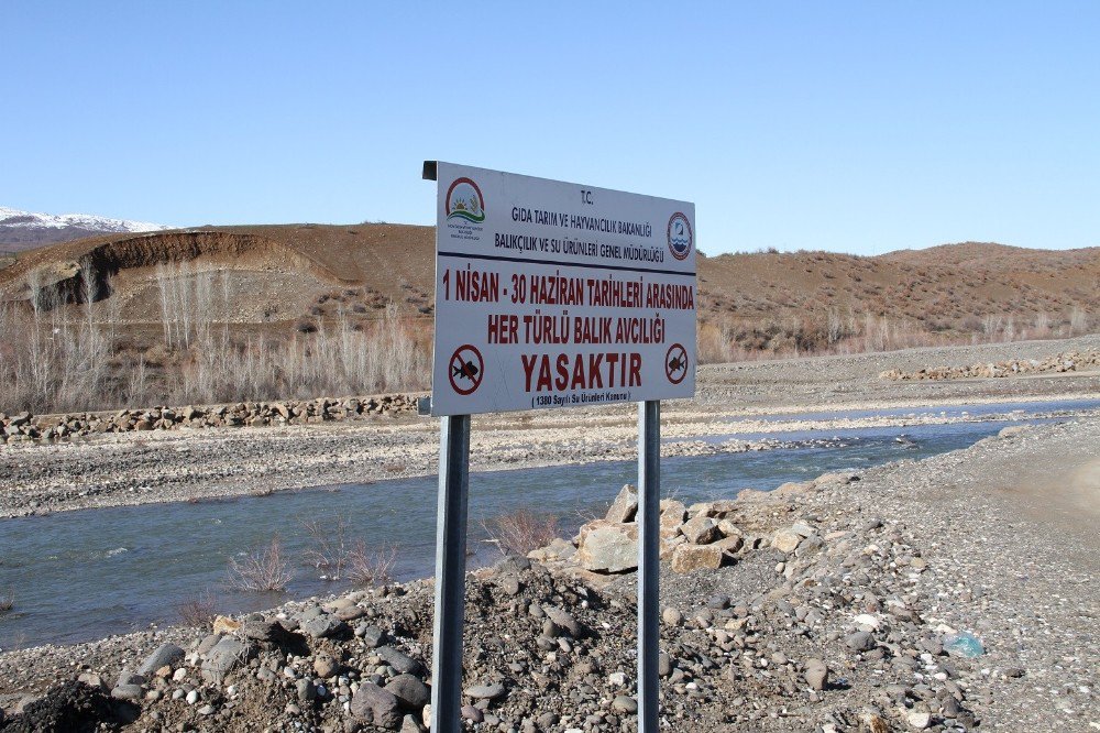 Bingöl’de Avlanma Yasağına Dikkat Çekmek İçin Tabelalar Yerleştirildi