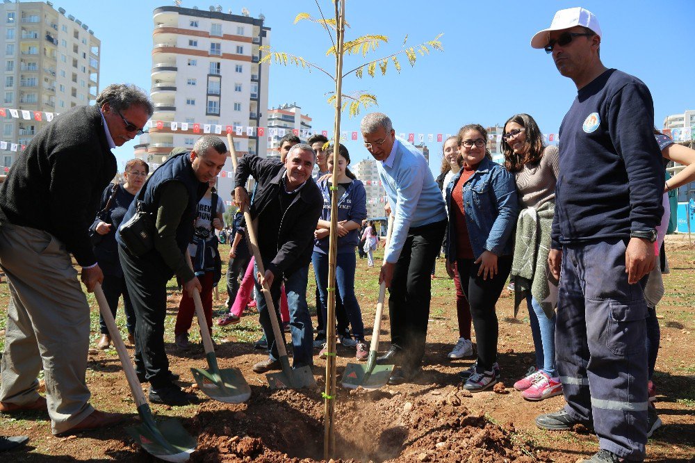 Mezitli’de Jakaranda Koruluğu 33’e Yükseldi